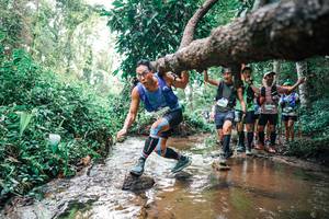 BIB: 
                            <button type="button" onclick="openModal(25370168)" class="btn btn-primary btn-sm float-right btn-popup" data-toggle="modal" data-target=".modal-high-quality">
                        <i class="fas fa-shopping-cart"></i> Add to Cart
                    </button>
                                            <button type="button" onclick="isThisMe(25370168, true)" class="btn btn-success btn-sm float-right btn-popup btn-isme hidden" data-toggle="tooltip" data-placement="bottom" title="นี่คือรูปของคุณใช่ไหม คลิกที่นี่เพื่อเอาเข้าอัลบั้ม">
                        <i class="fas fa-plus"></i> Add to album
                    </button>
                    <button type="button" onclick="isThisMe(25370168, false)" class="btn btn-warning btn-sm float-right btn-popup btn-isnotme hidden">
                        <i class="fas fa-ban"></i> Remove from album
                    </button>